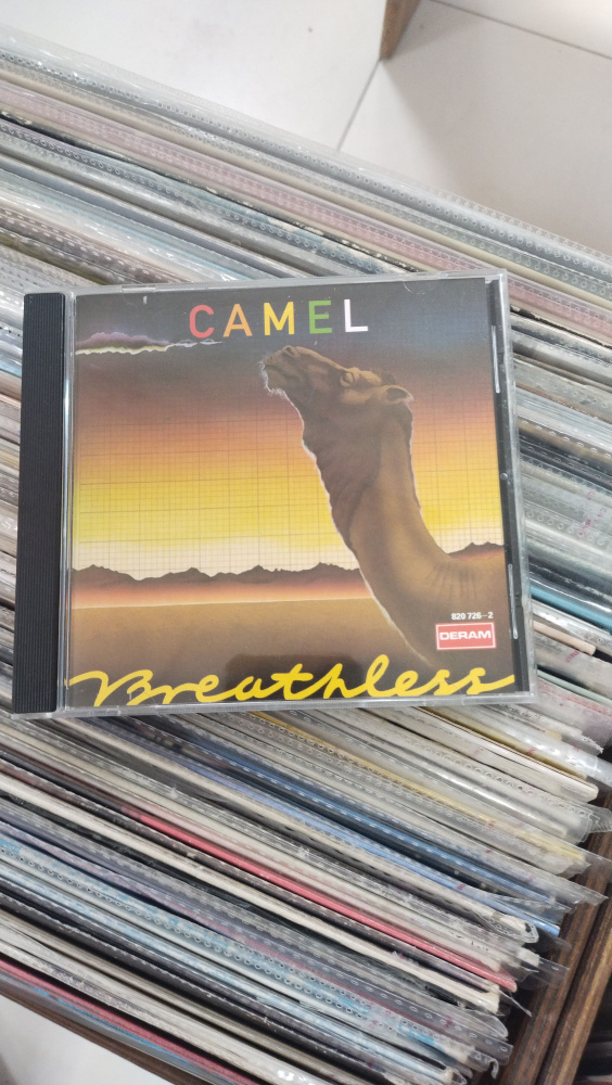 Зарубежный рок CAMEL #1