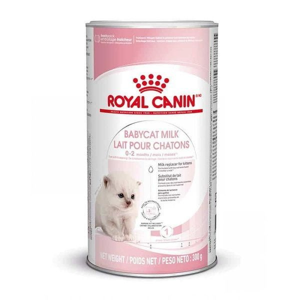 Молоко сухое для котят Royal Canin Babycat milk, 300 г. для вскармливания котят с рождения до 2-х месяцев #1