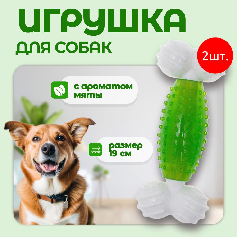 2 Игрушки CanineClean для собак Косточка нейлон/синтетическая резина 19 см с ароматом мяты, зеленый  #1