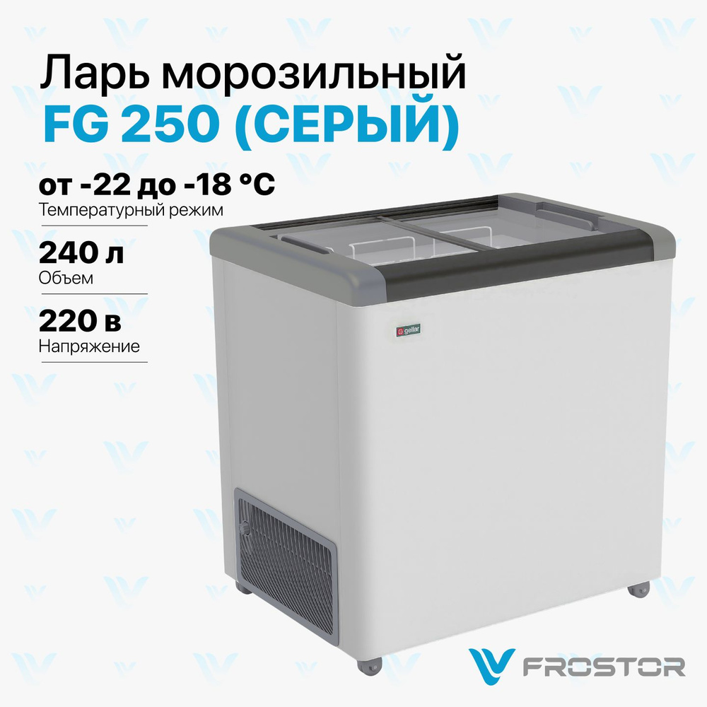 Ларь морозильный Frostor серии Classic FG 250 С, серый #1