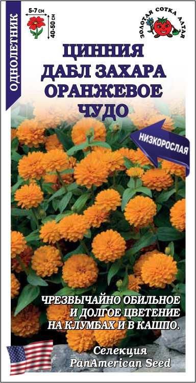 ЦиннияДаблЗахараОранжевоеЧудо/Сотка/5шт/*