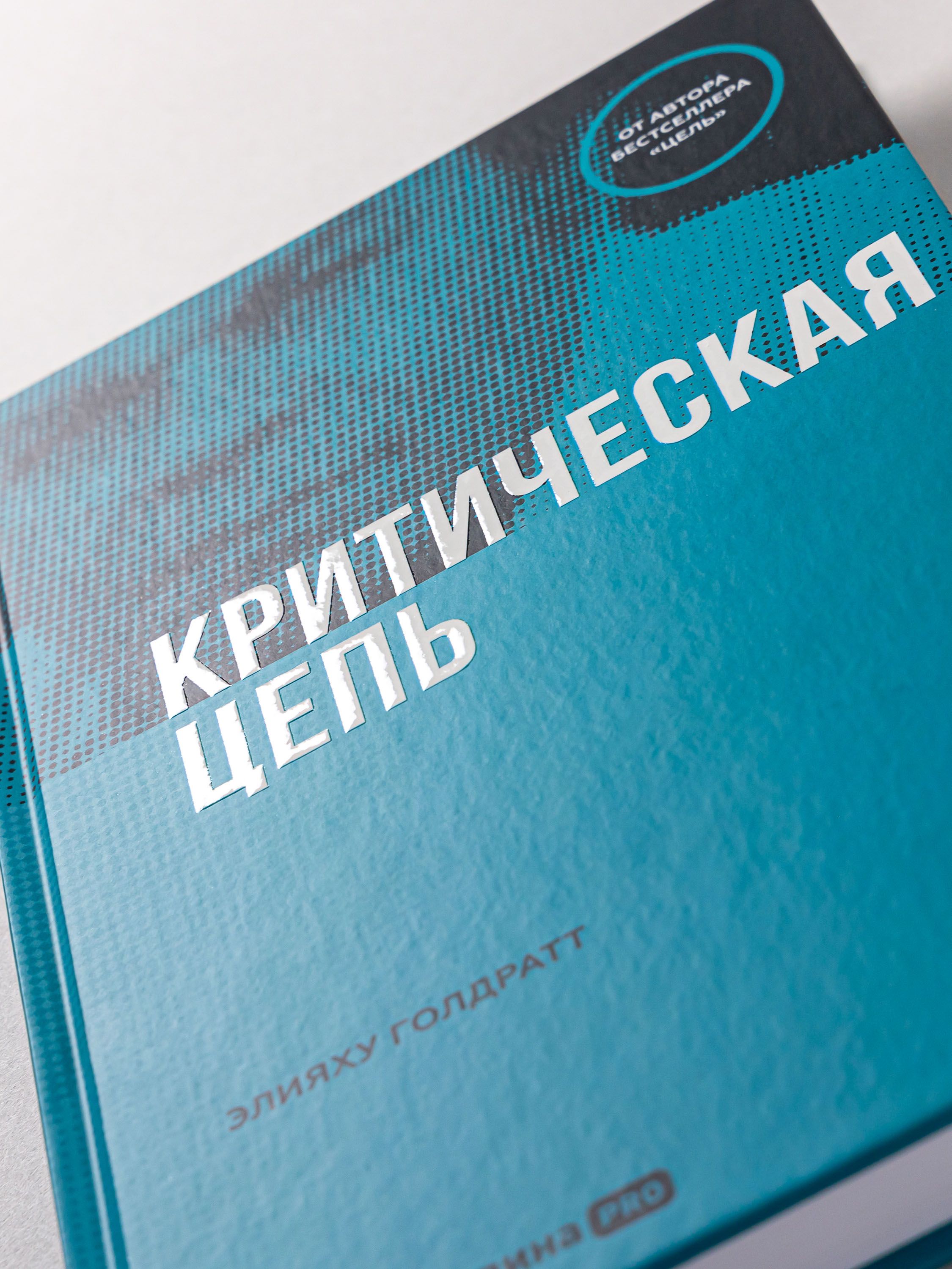 Критическая цепь | Critical Chain - Ozon image 3