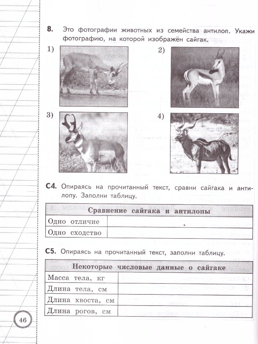 ВСОКО Литературное чтение 3 класс. 10 вариантов. ФГОС Новый | VSOKO Literary Reading Grade 3. 10 Options. New GEF - Ozon image 2