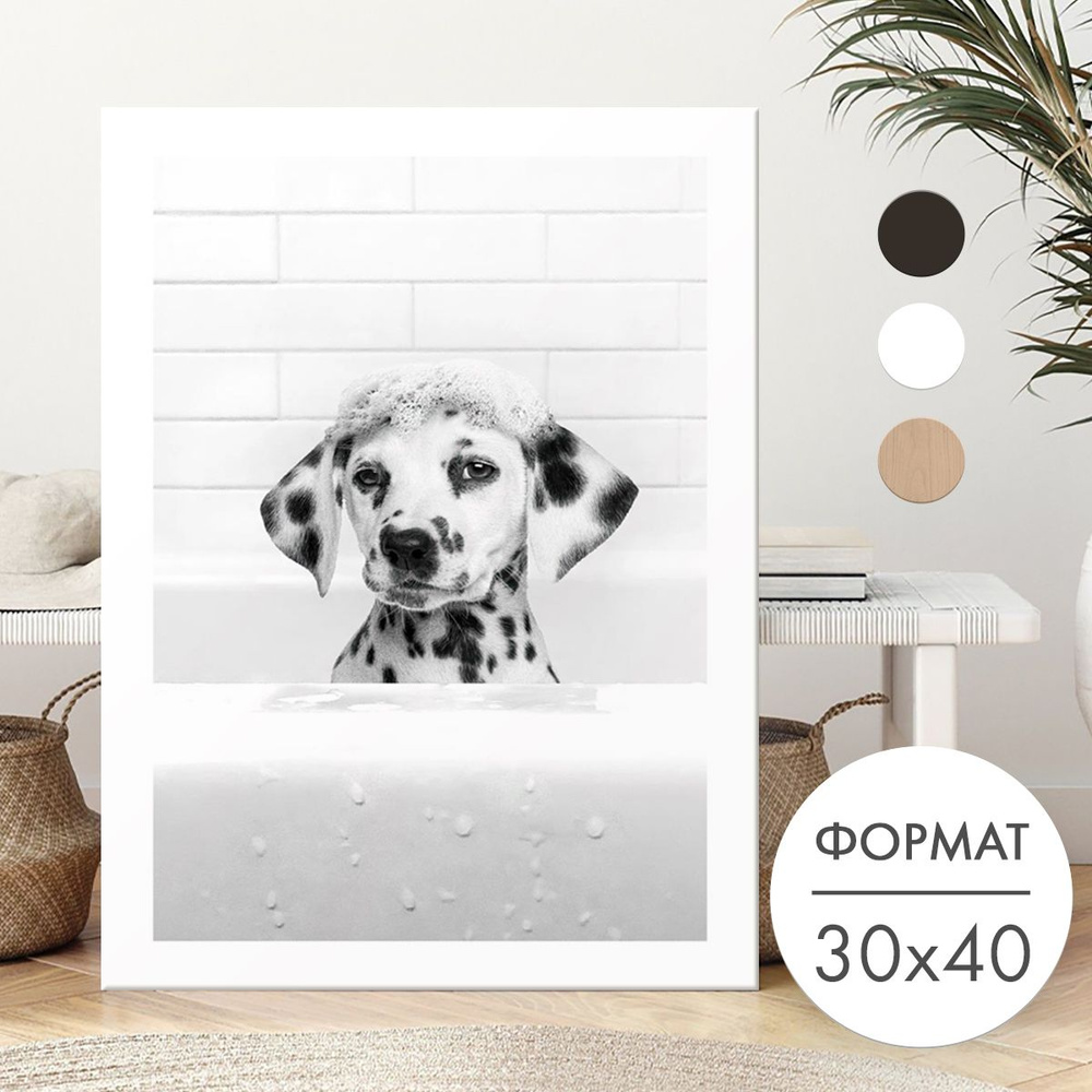 Постер на стену "Далматинец в ванной" для интерьера 30х40 #1