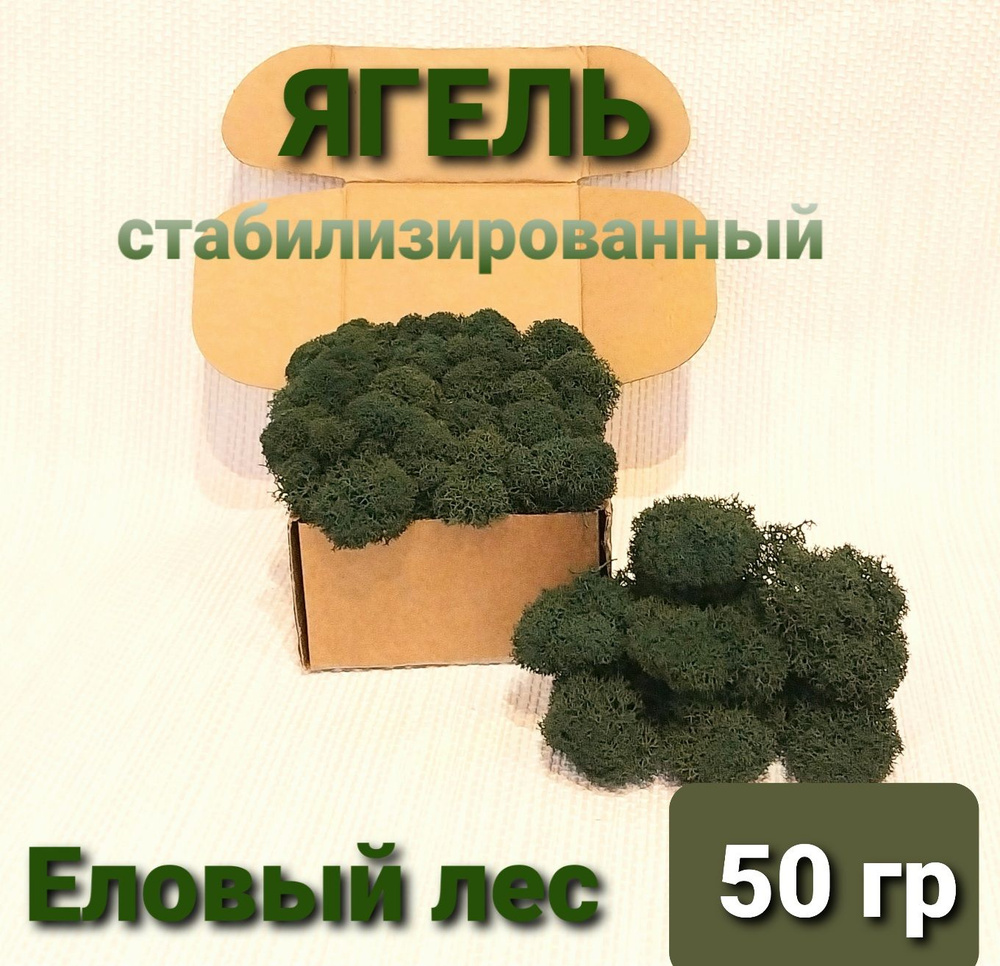 Стабилизированный мох Мох, 50 гр #1