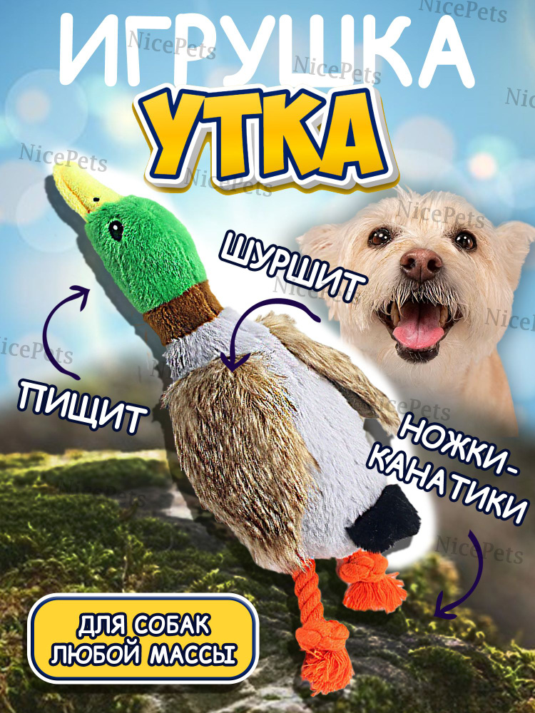 Игрушка для собак #1