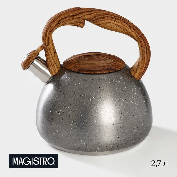 Чайник со свистком из нержавеющей стали Magistro Stone, 2,7 л, ручка soft-touch, индукция, цвет серый #1