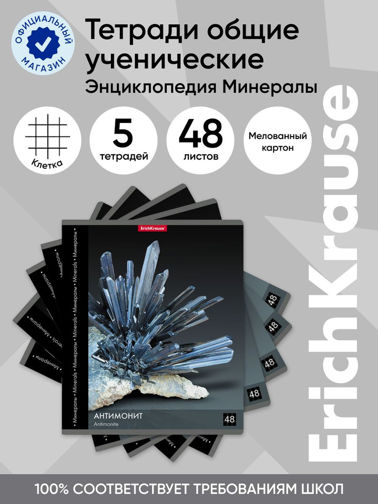 Тетрадь общая ученическая ErichKrause Энциклопедия, Минералы, 48 листов, клетка  #1