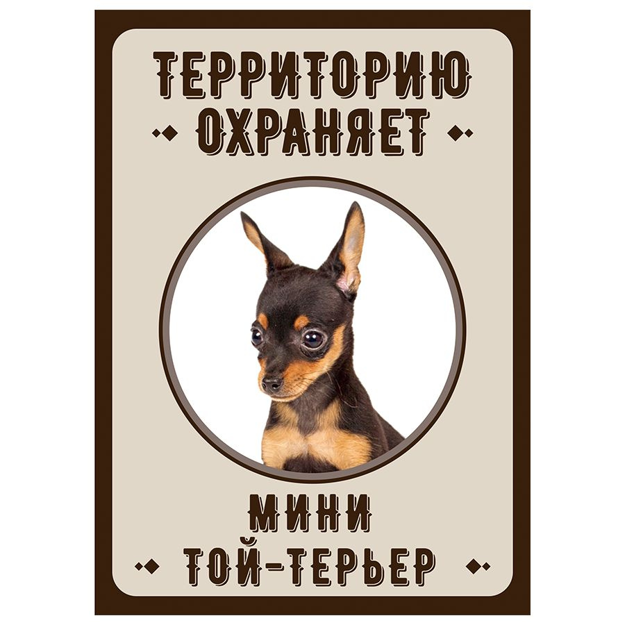 Табличка, Злая собака, Территорию охраняет Мини Той-терьер, 18см х 25 см, на забор, на дверь  #1