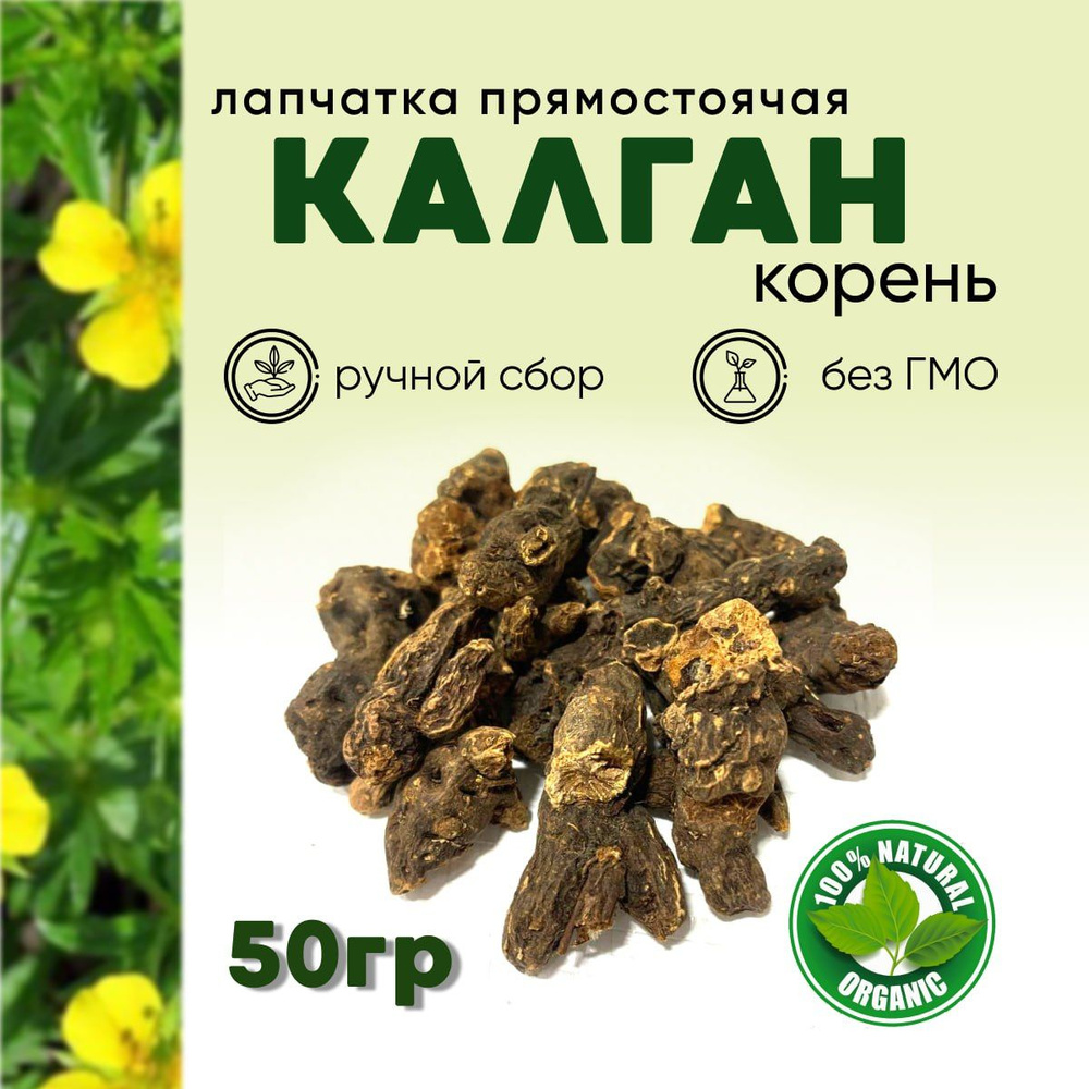 Калган корень лапчатка прямостоячая, 50 гр #1