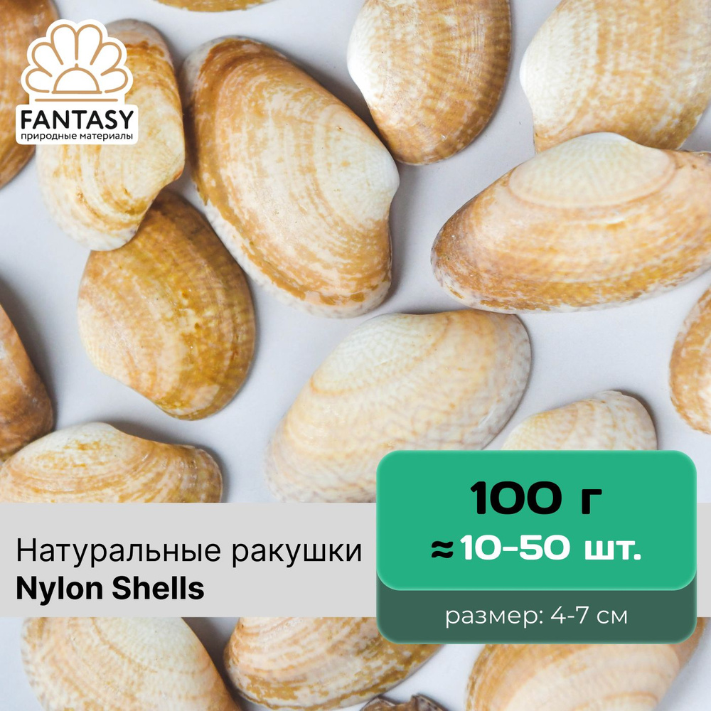 Натуральные морские ракушки FANTASY Nylon Shells, набор весом 100 г (10-50 шт.), размер: 4-7 см  #1