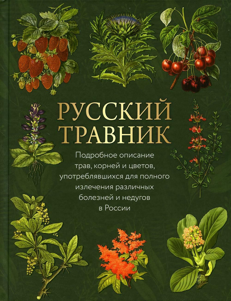 Русский травник. Подробное описание трав, корней и цветов, употреблявшихся для полного излечения различных #1