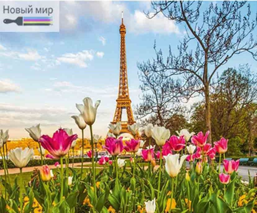 Алмазная мозаика на подрамнике Париж/Эйфелева башня 40х50 см круглые стразы  #1