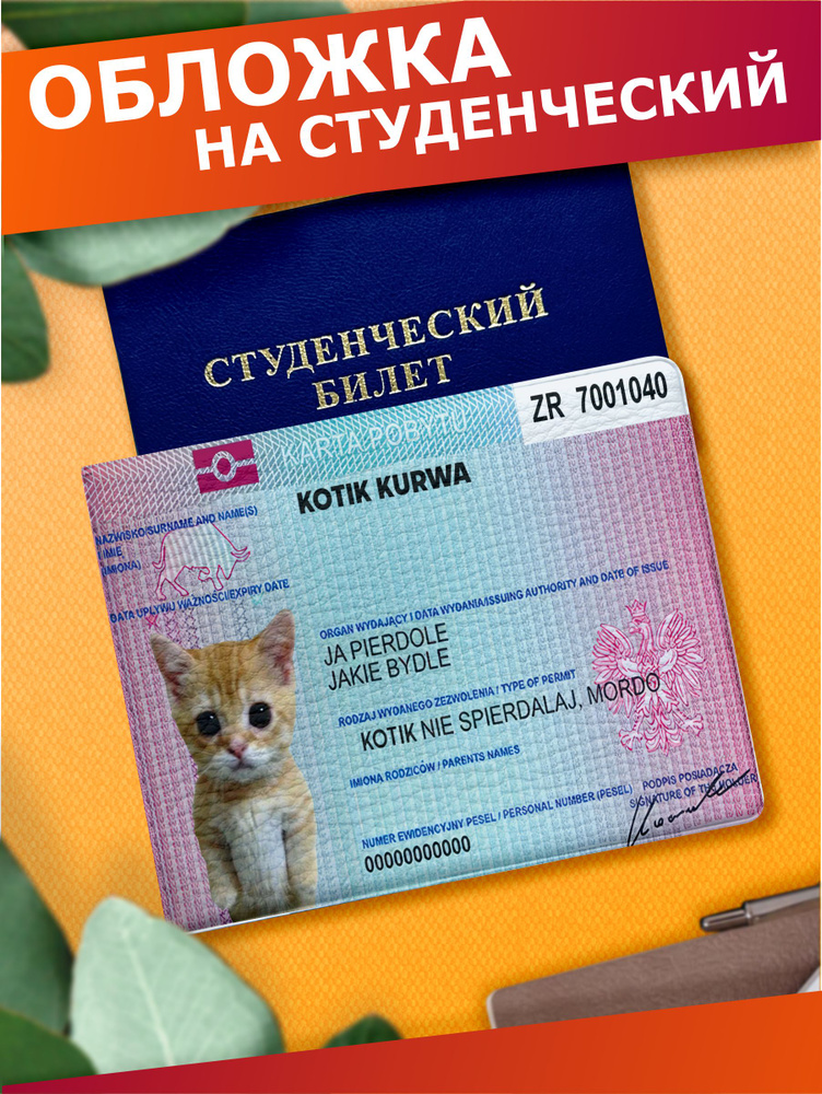 Обложка на студенческий билет котик мем #1