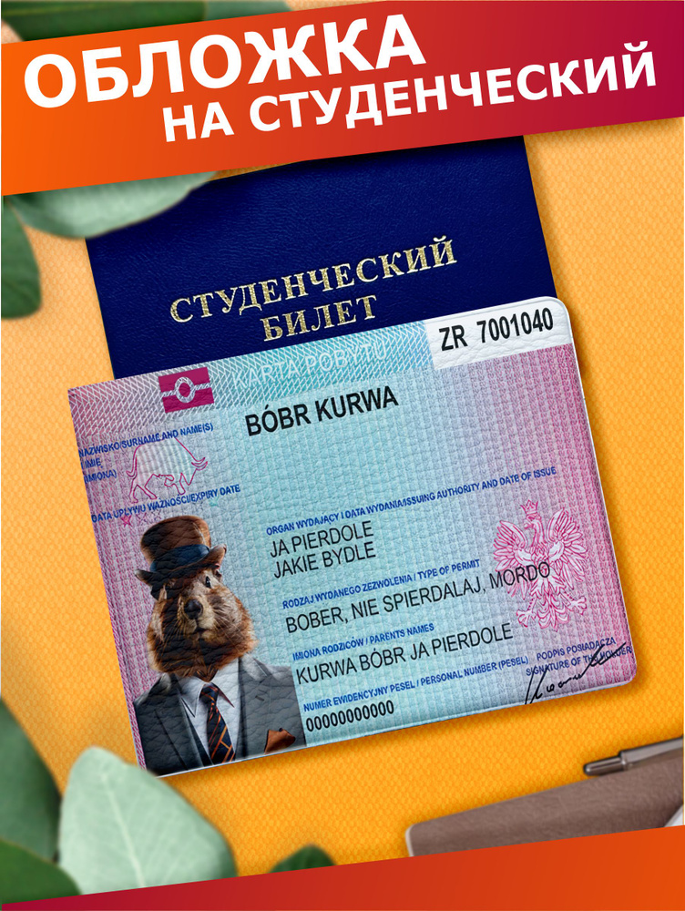 Обложка на студенческий билет Bobr kurwa #1