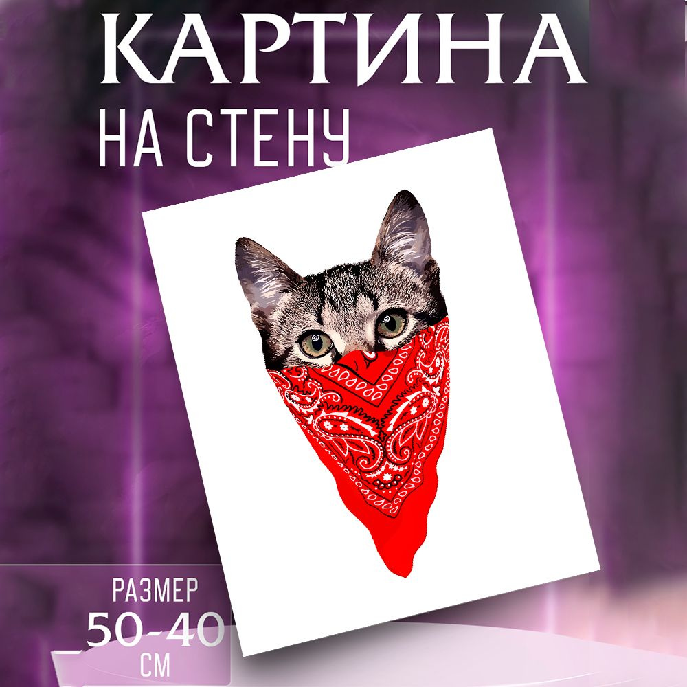 Картина Кот #1