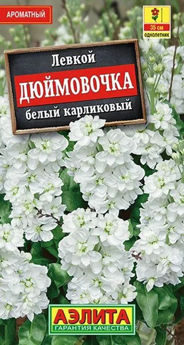 Семена Левкой карликовый Дюймовочка белый (30 семян) - Агрофирма Аэлита  #1