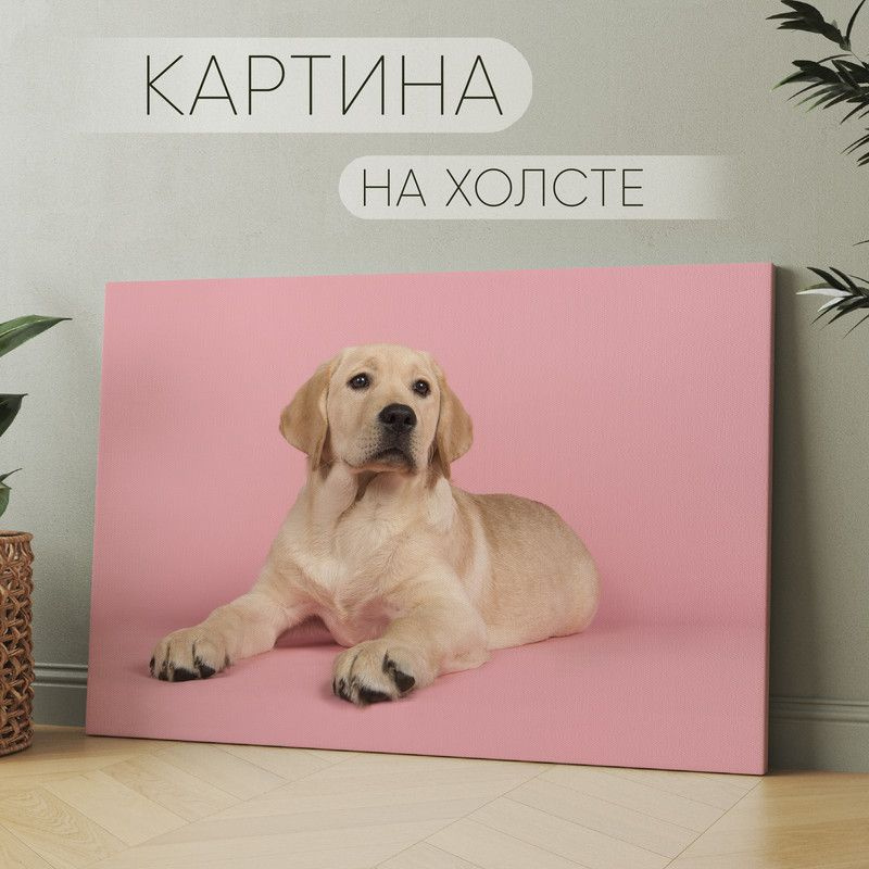 Арт Пространство Картина "милая собака Лабрадор ретривер (21)", 60 х 40 см  #1