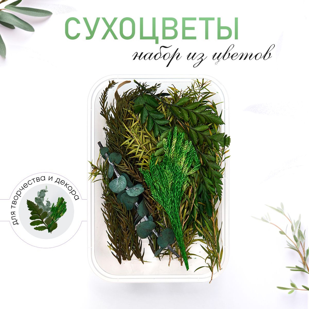 Сухоцветы, 40 гр #1