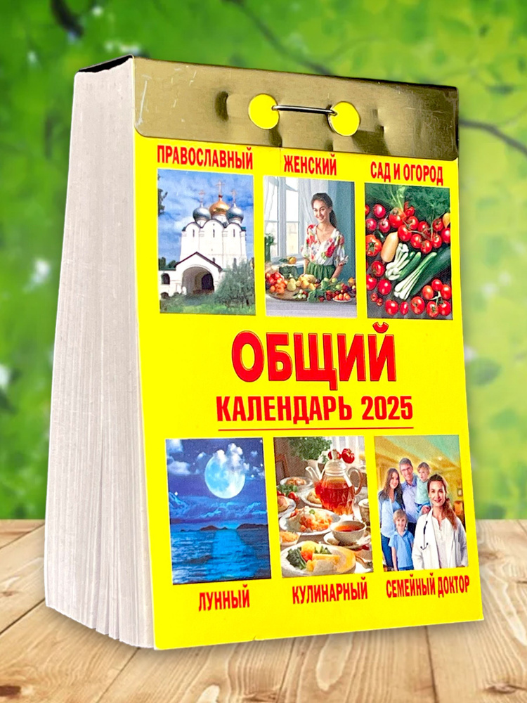 Календарь настенный отрывной "Общий" на 2025 год #1