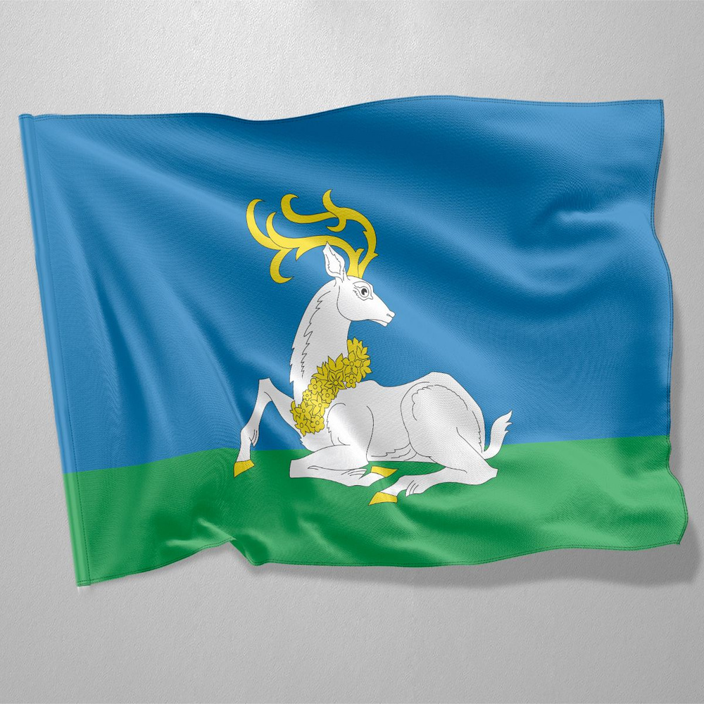 Флаг Одинцово / 90x135 см. #1