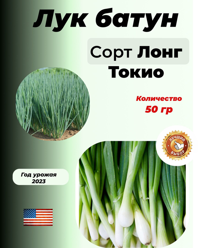 Лук батун Лонг Токио 50 гр Чернушка на зелень #1