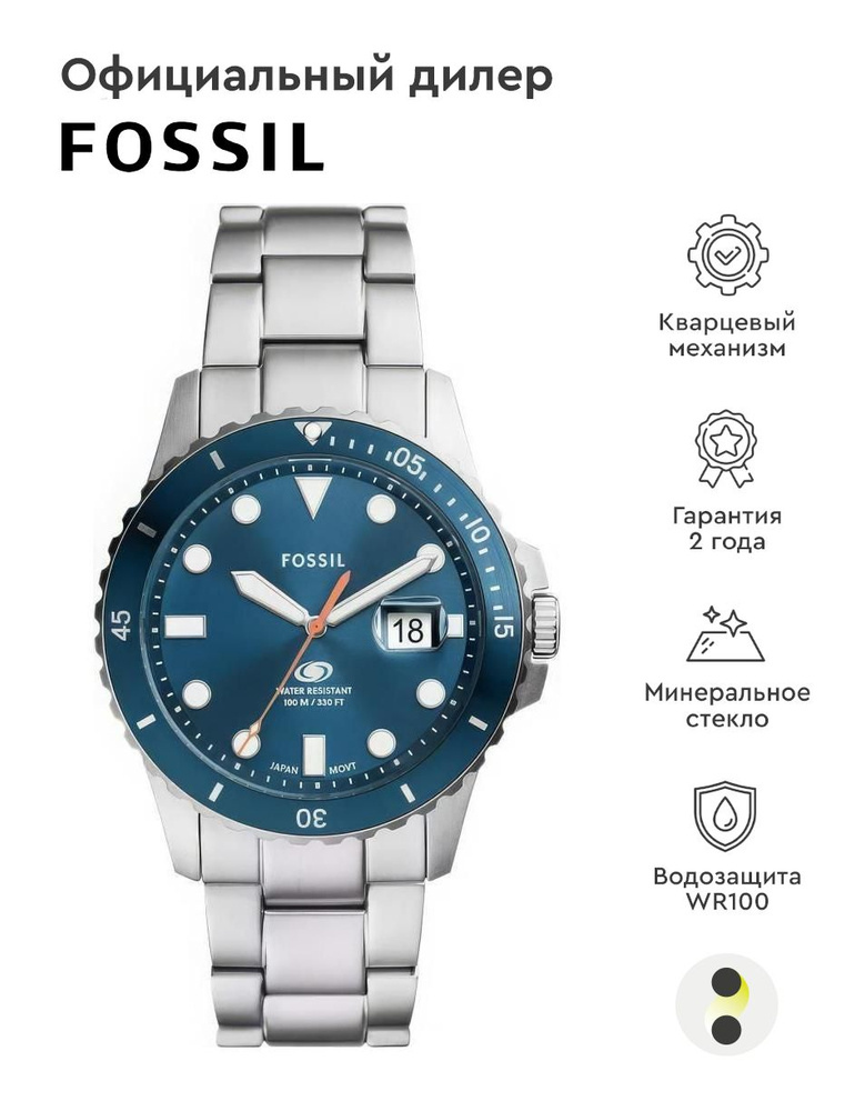 Мужские наручные часы Fossil Blue FS6050 #1