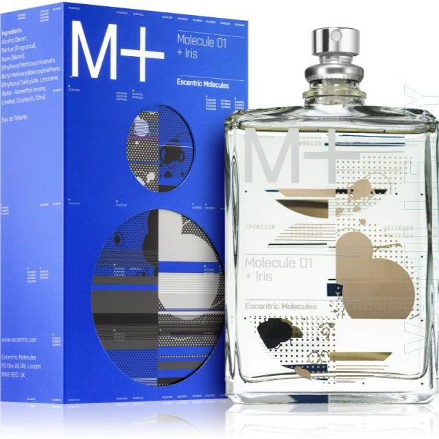 Fragrance World Вода парфюмерная 100Molecule 01 + Iris_Success 100 мл #1