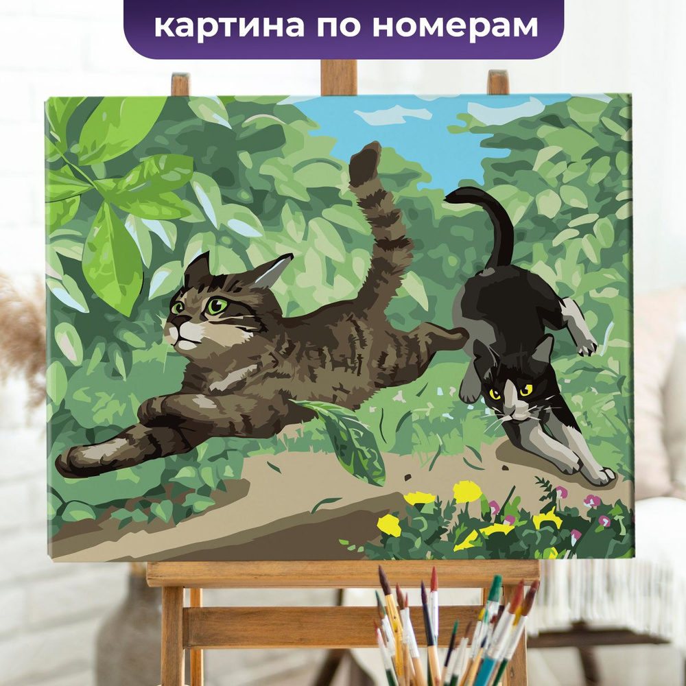 Картина по номерам, холст на подрамнике - Игривые котики - Кот 40x50 см  #1