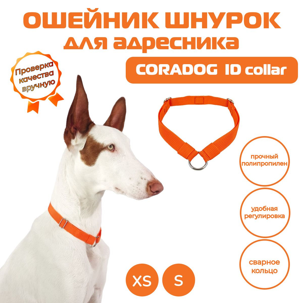 Ошейник шнурок для адресника, CORADOG ID collar, размер XS, оранжевый  #1