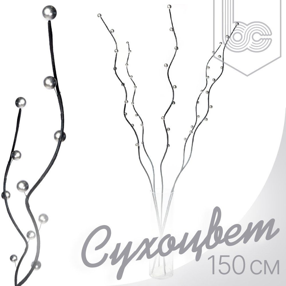 Сухоцвет набор 5 штук 150 см ветка черная с шарами серебряными  #1