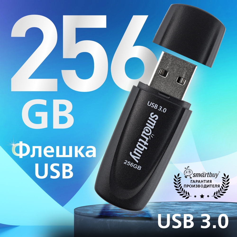 Флешка usb 256 Гб Smartbuy Scout 3.0/3.1, черный #1