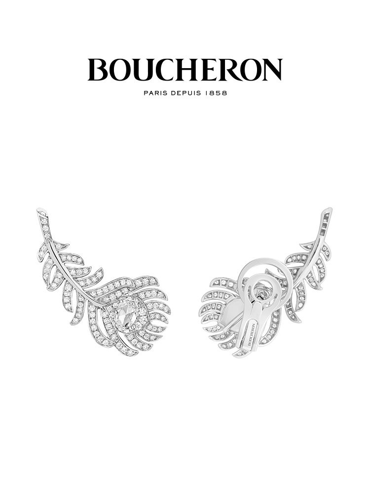 Boucheron Серьги кольца #1