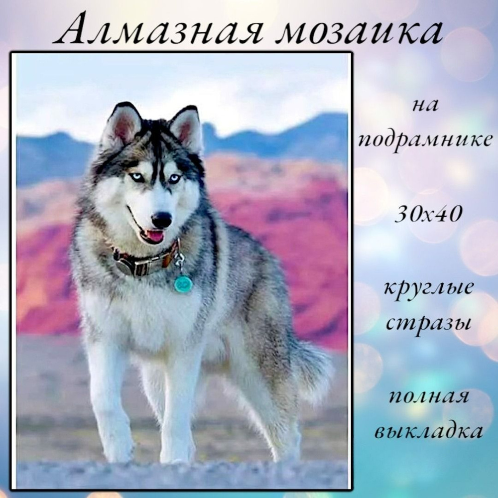 Алмазная мозаика,алмазная живопись на подрамнике 30х40 Картина стразами "Хаски"  #1