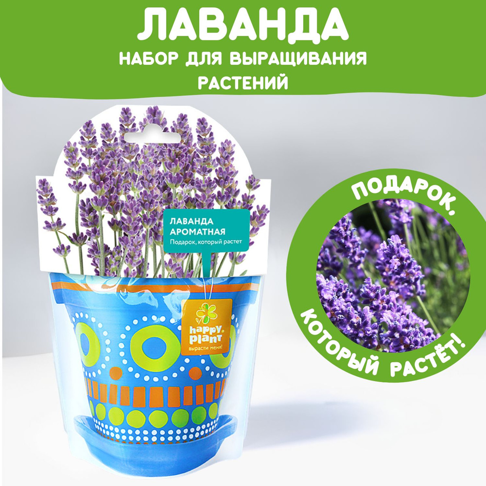 Набор для выращивания растений Happy Plant Лаванда ароматная  #1