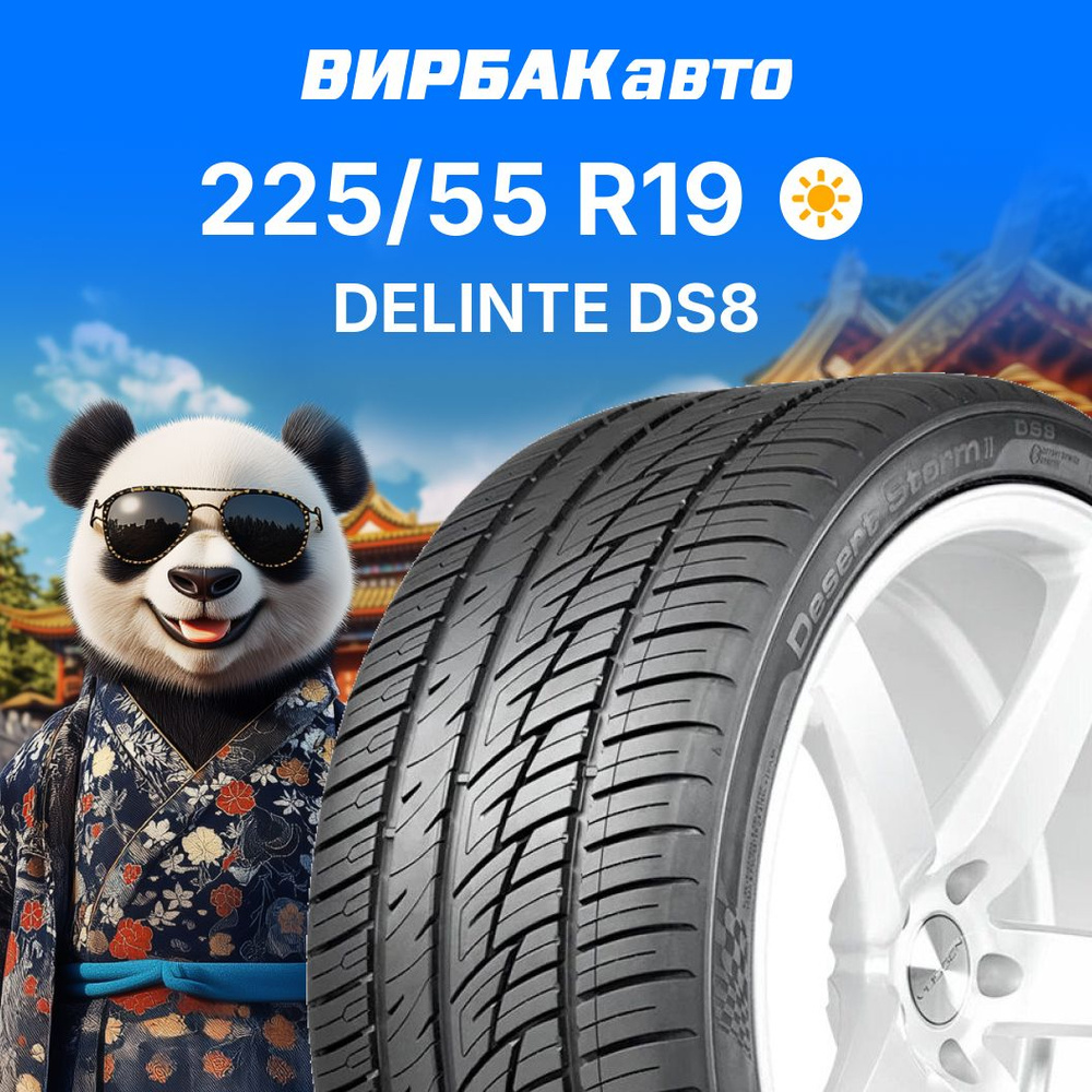 Delinte DS8 Шины  летние 225/55  R19 99H #1