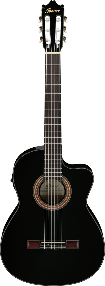 Ibanez Акустическая гитара Ju342556 #1