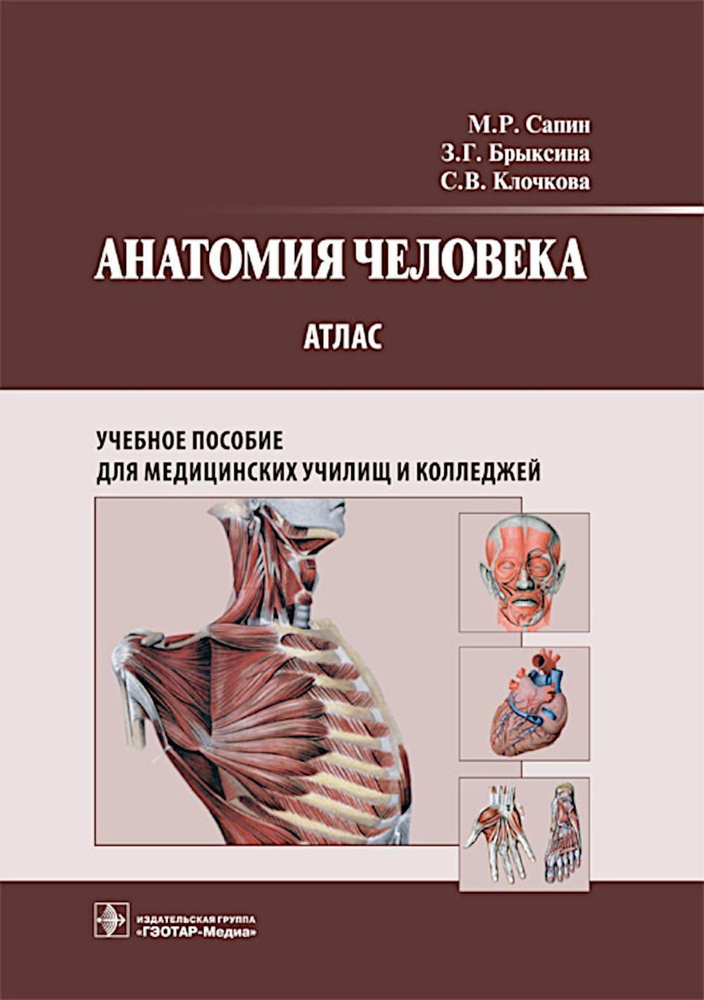 Анатомия человека: атлас: Учебное пособие | Сапин М. Р., Клочкова Серафима Витальевна  #1