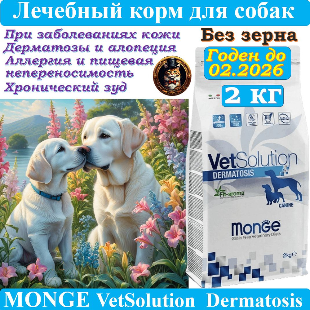 Сухой корм для собак, Monge VetSolution Dog Dermatosis, диета для собак Дерматозис, 2 кг  #1