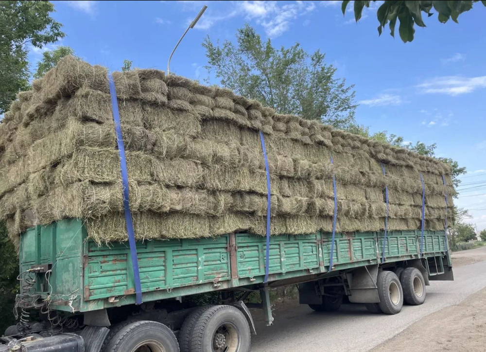 Сено Ударник Труда в плотно забитом мешке 100х150см Свежий Урожай  #1