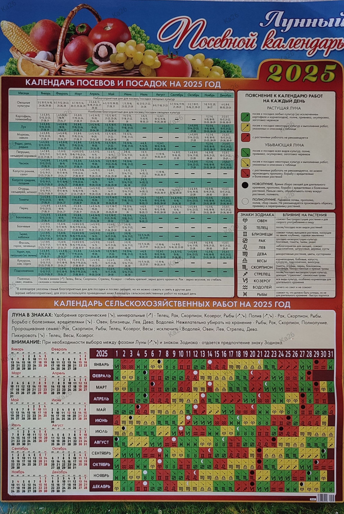 Календарь - плакат настенный, А2 формат, 2025г. / Лунный посевной  #1