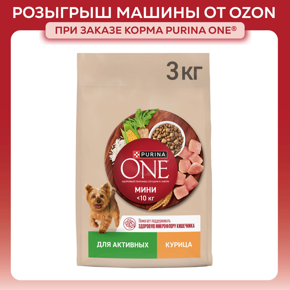 Сухой корм для собак PURINA ONE МИНИ мелких и карликовых пород при активном образе жизни, с курицей и #1