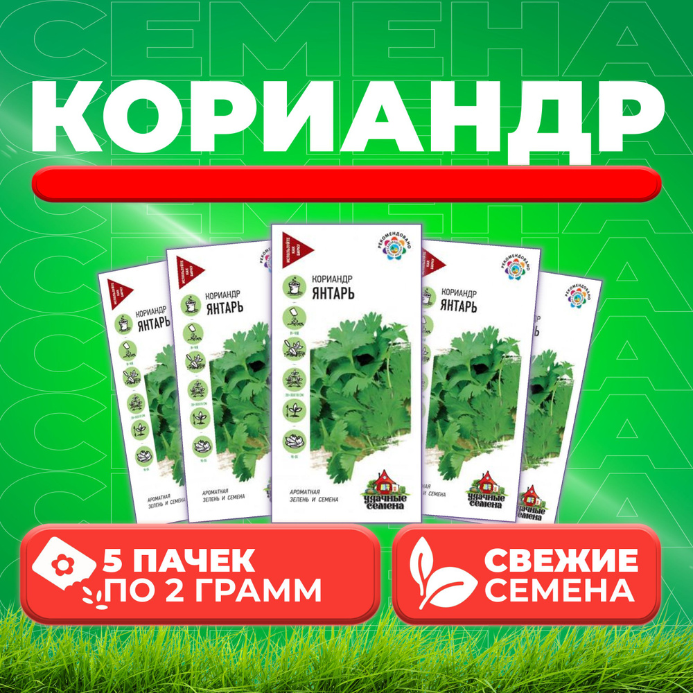 Кориандр Янтарь, 2,0г, Удачные семена (5 уп) #1