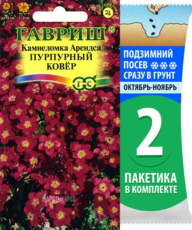 Семена Камнеломка Арендса Пурпурный Ковер, 2 пакетика по 0,01г/150шт  #1