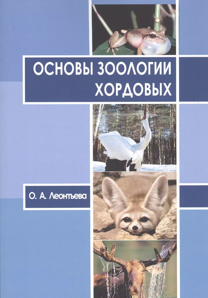 Основы зоологии хордовых. Учебное пособие #1