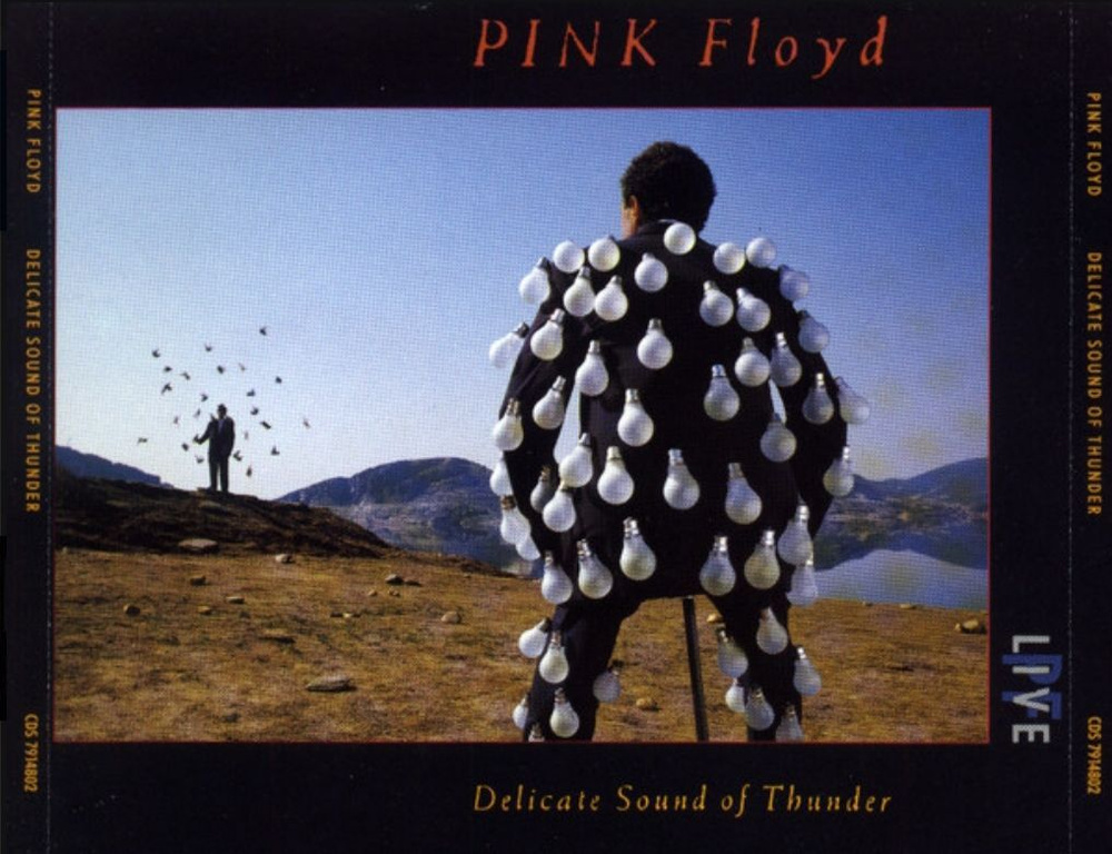 PINK FLOYD "Delicate Sound Of Thunder" - 2 CD Аудио #1