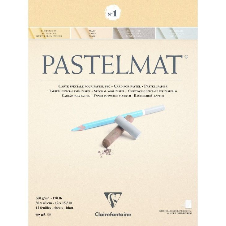 Альбом для пастели Clairefontaine PASTELMAT 360 гр/м2 / 4 цвета, 24*30см, 12 листов 96017С  #1