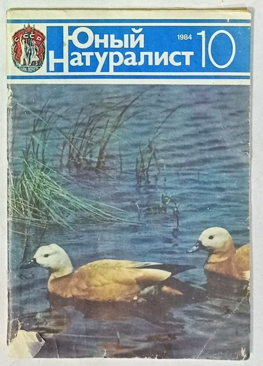 Журнал Юный натуралист, №10 1984г #1