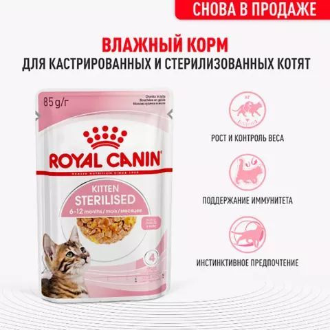 12 шт Royal Canin Kitten Sterilised Влажный корм (пауч) для кастрированных и стерилизованных котят, в #1