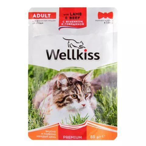 12 шт Wellkiss Adult Влажный корм (пауч) для взрослых кошек, с ягненком и говядиной в соусе, 85 гр.  #1